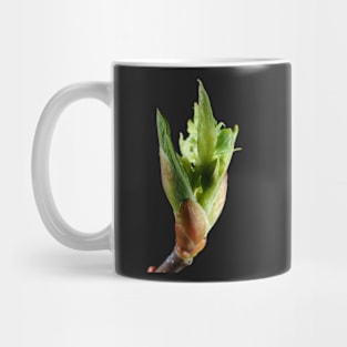 Young leaf bud close-up Mug